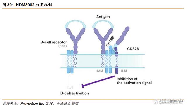 2024澳门特马今晚开奖,医药工业创新转型，华东医药：医美及工业微生物，未来发展如何？  第37张