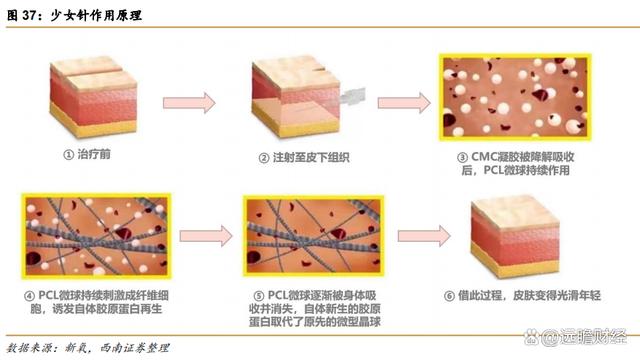 2024澳门特马今晚开奖,医药工业创新转型，华东医药：医美及工业微生物，未来发展如何？  第44张