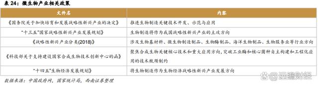 2024澳门特马今晚开奖,医药工业创新转型，华东医药：医美及工业微生物，未来发展如何？  第60张