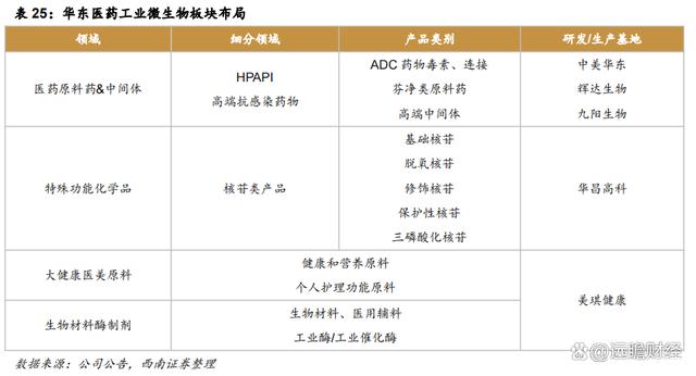 2024澳门特马今晚开奖,医药工业创新转型，华东医药：医美及工业微生物，未来发展如何？  第62张